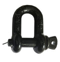 D Shackles – Load Rated Dee Shackles for Rigging & Securing (0.5 to 12 Tonne)